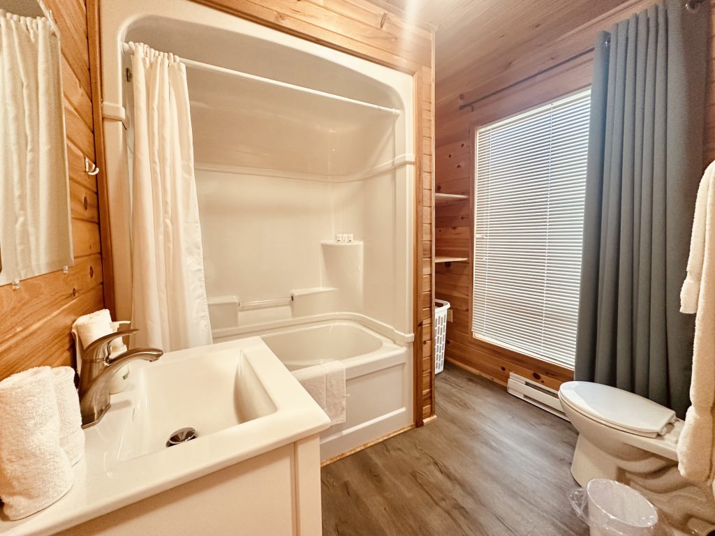 bathroom1